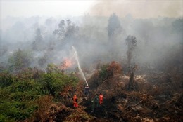 Indonesia huy động 25 máy bay dập cháy rừng 